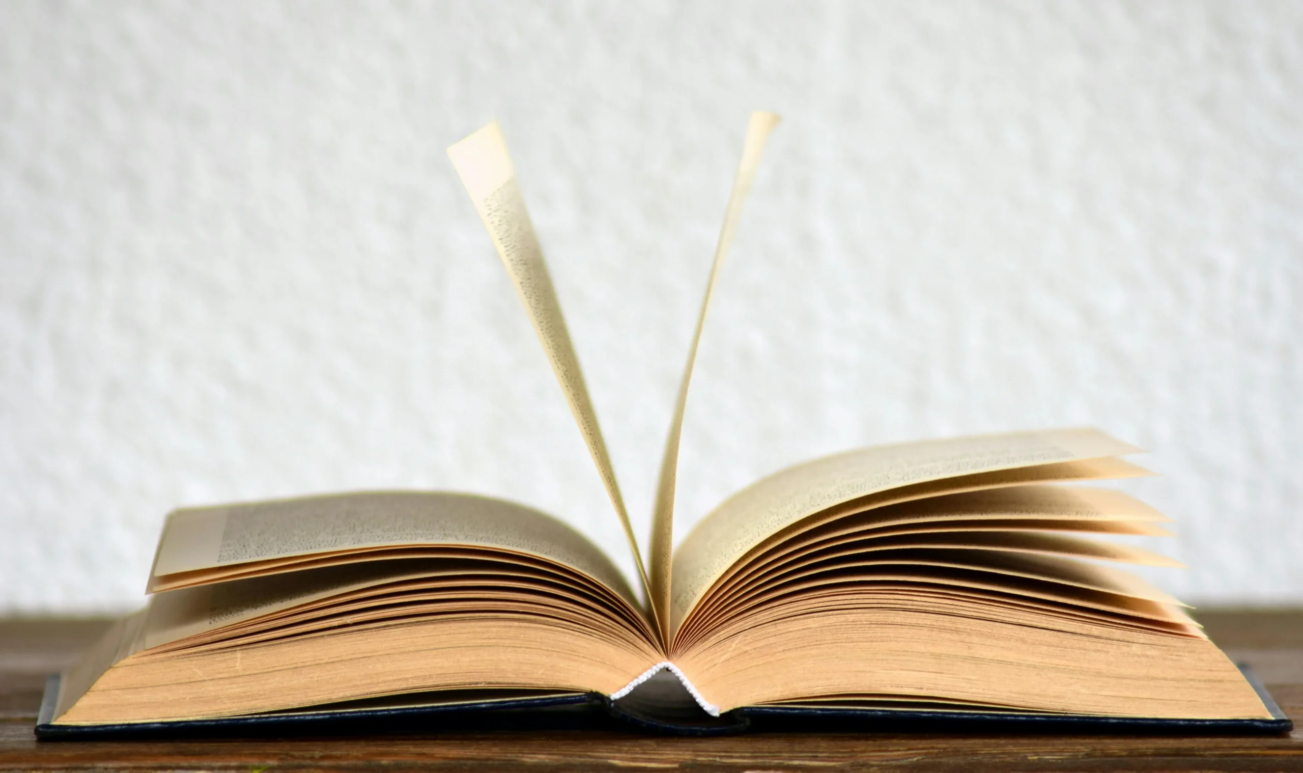 Primeiro livro acadêmico: guia prático para transformar sua pesquisa em uma publicação de sucesso